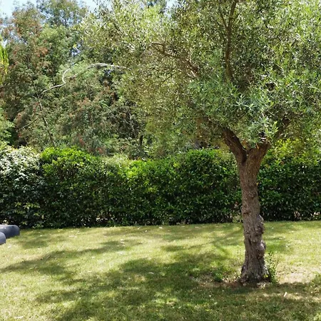 Katiris Ferienhaus Porto-Vecchio (Corsica)